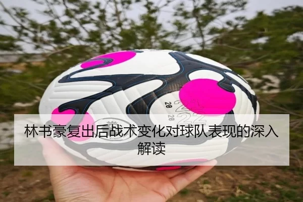 林书豪复出后战术变化对球队表现的深入解读